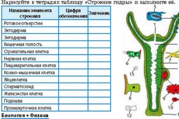 Зарегистрироваться на сайте кракен