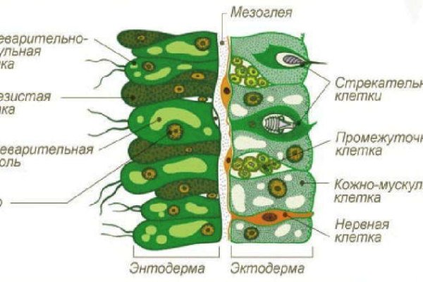 Ссылки на даркнет сайты